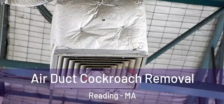  Air Duct Cockroach Removal Reading - MA