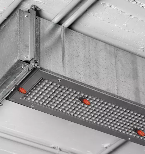 Affordable Insect Removal from Air Ducts in Reading, MA