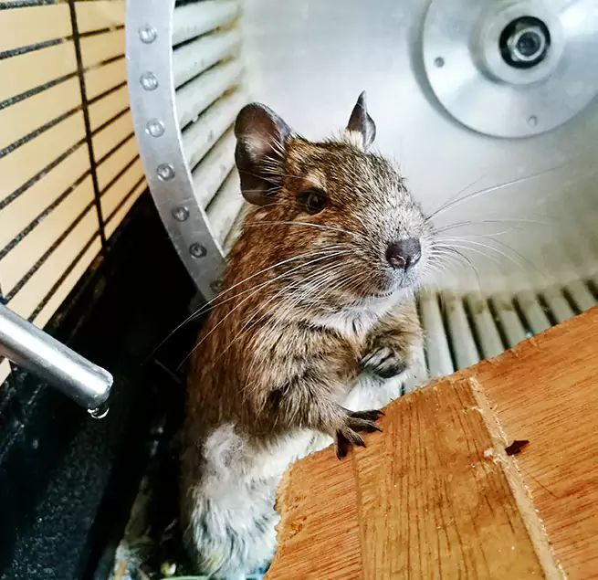 Why Homeowners & Businesses Trust Us Reading, MA?