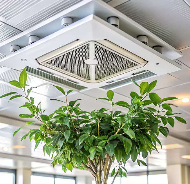 Why Homeowners & Businesses Trust Us in Reading, MA?